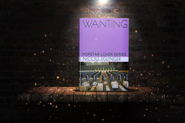 wanting_presentation_